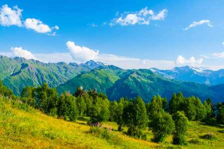 Mountain landscape. Caucasus, Svanetia, Ushguli, Ushba, Georgia.の写真素材