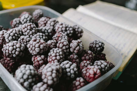Close-up of several frozen blackberries with different shades of redの写真素材