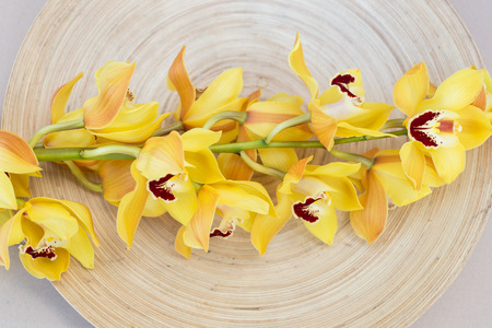 Yellow cymbidium orchids on wooden plateの写真素材