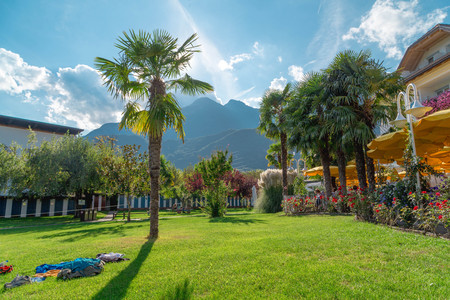 garden with mountains viewの写真素材