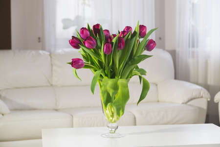 Bouquet of pink tulips in a glass vase on a white backgroundの写真素材