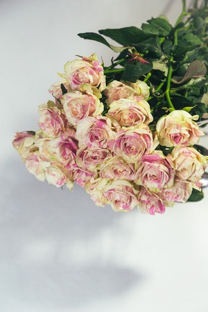 Bouquet of multi-colored yellow and pink roses upside down isolated on white backgroundの写真素材