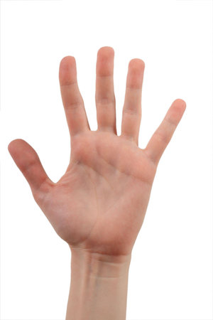 The female open palm with the spred wide fingers on a background