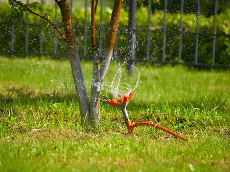 Water sprinkler showering grassの写真素材