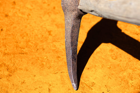 Gold mining equipment pickaxe with wooden handle. The pickaxe tool hits the stone.