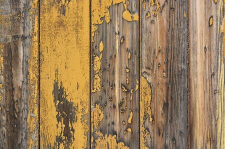 Old peeling paint on grunge wooden surfaceの写真素材