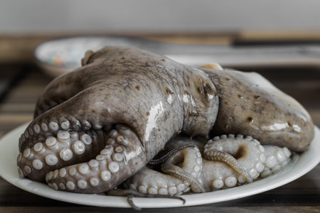 Close up photo of shiny octopus lying on the white plate.