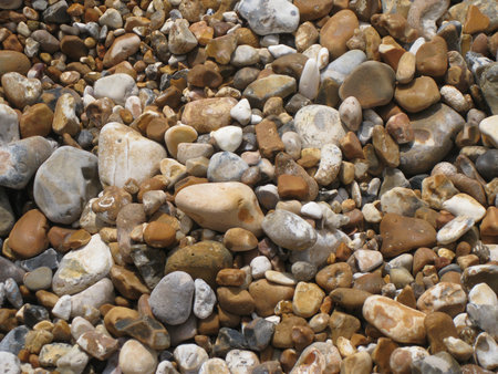 The english channel coast