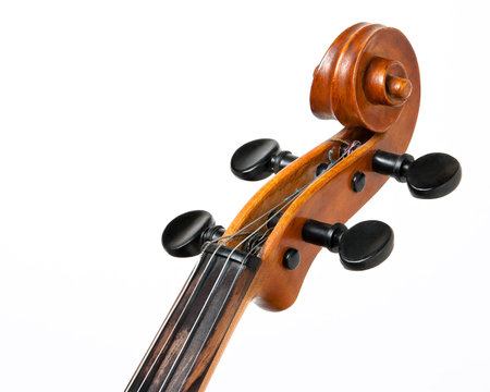 Vulture of violin with strings on a white background