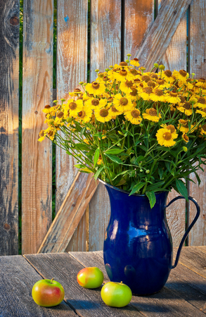 Yellow autumn flowers and apples on the tableの写真素材
