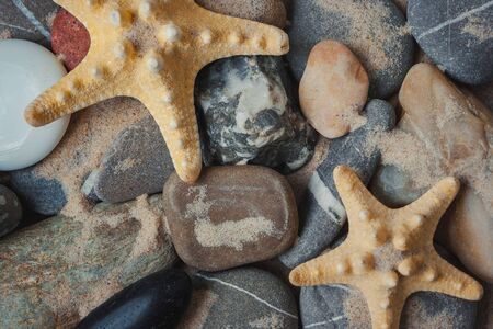 Starfish, stones and sand.View from above.の写真素材
