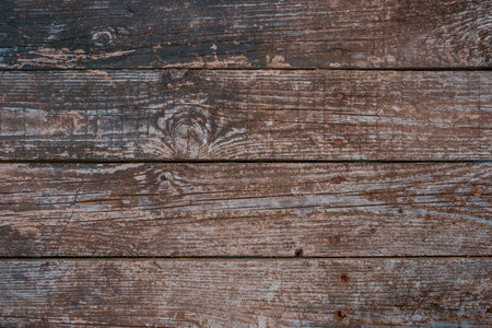 Texture of old wooden planks with rusty nail heads