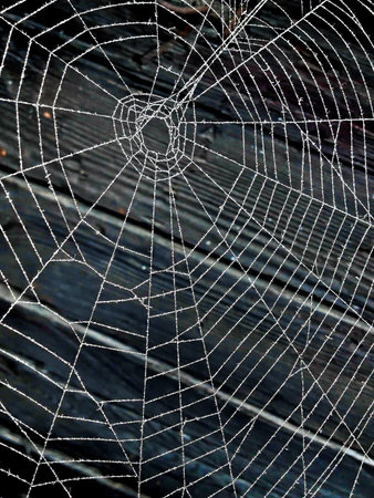 A web on the background of a wooden wall is taken off in the early morning close-up