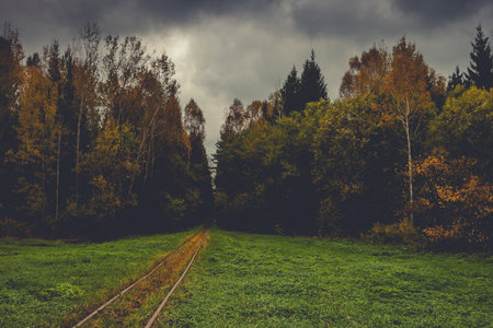Old steel railway rails go into the autumn forest with overcast thunderclouds