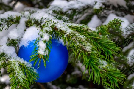 Christmas decorations. A real fir tree covered with snow. Christmas toy, blue ball, hanging on a branch. Close-up. Xmasの写真素材