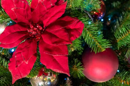 Christmas decorations. A red flower hangs on a branch. Macro. The garland is shining. Close-up.の写真素材