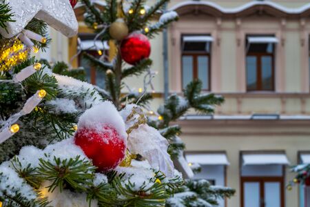The Christmas tree is decorated with different New Year's toys and a garland. Branches of spruce covered with a layer of snow. Facades of buildings, cityscape in the background.の写真素材