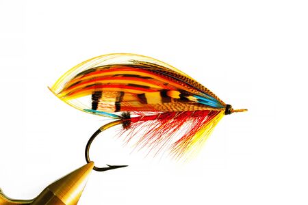 Classic fly for atlantic salmon. Close-up, isolated, full-dressの写真素材