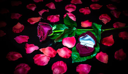 romantic giftの写真素材