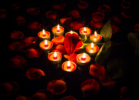 Romantic Arrangementの写真素材