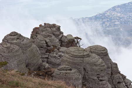 Fog in the Crimean mountainsの写真素材