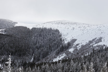 New year in Ukrainian Carpathians mountainsの写真素材