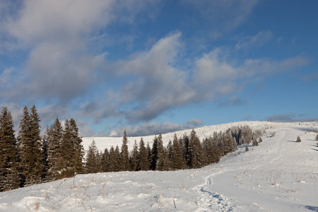 New year in Ukrainian Carpathians mountainsの写真素材