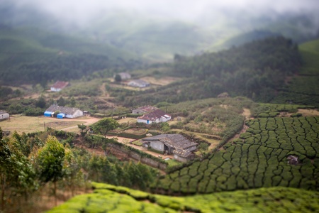 Tea plantations in India. Province Keralaのeditorial素材
