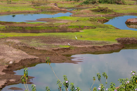 Kerala Agricultural neighborhood. South Indiaの写真素材