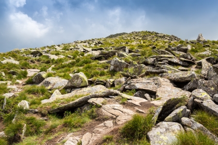 Summer panorama of Montenegrin mountain rangeの写真素材