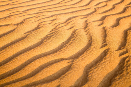 Desert in the United Arab Emirates before sunsetの写真素材