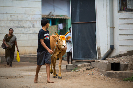 MADURAI, INDIA-FEBRUARY 15: Street of Indian city 15, 2013 in Madurai, India. People on the street of indian townのeditorial素材