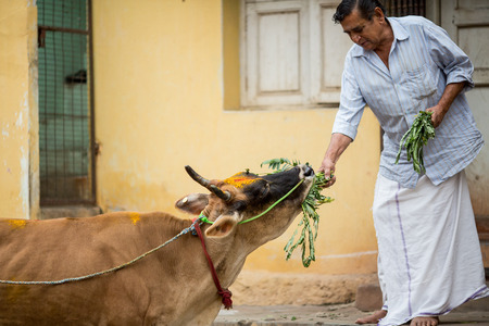 MADURAI, INDIA-FEBRUARY 15: Street of Indian city 15, 2013 in Madurai, India. People on the street of indian townのeditorial素材