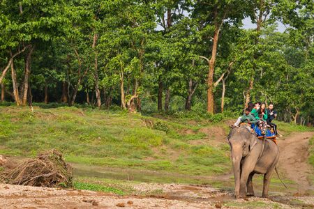 CHITWAN, NEPAL-MARCH 27: Elephant safari 27, 2015 in Chitwan, Nepal. Elephant ride in the Chitwan National Park.のeditorial素材
