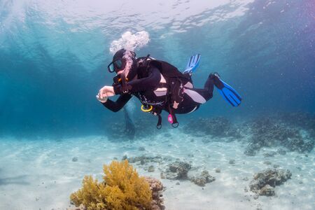 Diver on the reaf of Red seaの写真素材