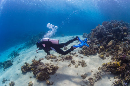 Diver on the reaf of Red sea