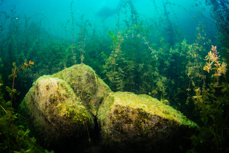 The nature of the bottom of the Ukrainian Riverの写真素材