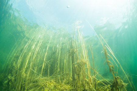 The nature of the bottom of the Ukrainian River