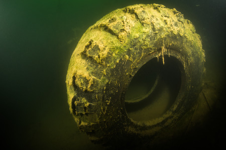 The nature of the bottom of the Ukrainian Riverの写真素材