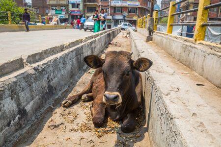 KATHMANDU, NEPAL-APRIL 25: Street of Kathmandu 25, 2016 in Kathmandu, Nepal. Street view of capital city of Napalのeditorial素材