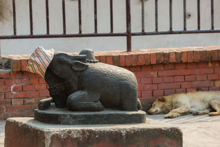 Pashupatinath Temple in Kathmandu. Nepal.の写真素材