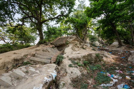 Park in Pashupatinath Templeの写真素材
