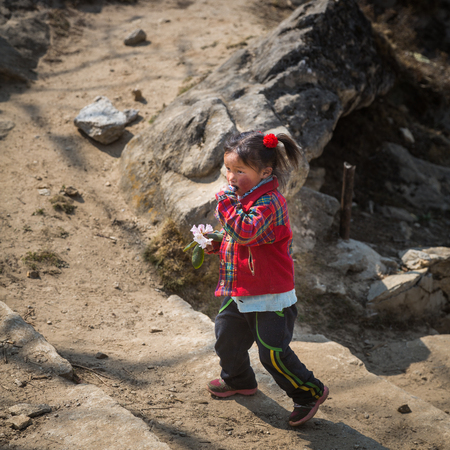 SAGARMATHA, NEPAL-APRIL 28: Himalayas people 28, 2016 in Sagarmatha, Nepal. Little girl on the track to the Everest Base Camp.のeditorial素材