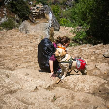 SAGARMATHA, NEPAL-MAY 6: Woman with a dog 6, 2016 in Sagarmatha, Nepal. Woman with a dog on the track to the Everest base camp.のeditorial素材