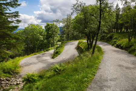 The landscape of the top of Ulrikenの写真素材