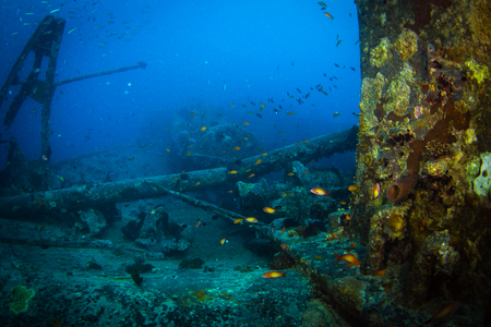British military transport ship sunk during World War IIの写真素材