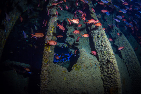 British military transport ship sunk during World War IIの写真素材