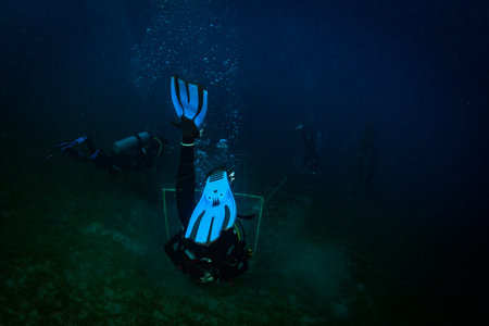 Diver on the reaf of Red seaの写真素材