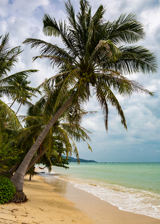 The coast of Koh Samuiの写真素材
