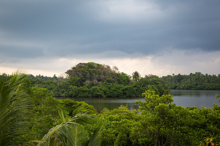 Lake near Mirissa in Sri Lankas jungleの写真素材